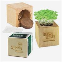 PIANTINA in CUBO di LEGNO